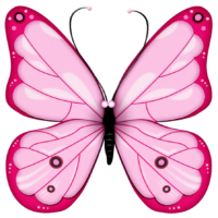 A butterfly - Fons van Gorp